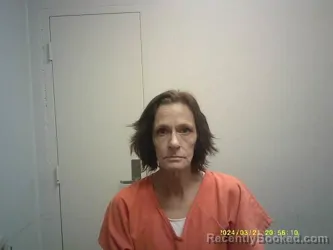 Mugshot of HEATHER M STONEBARGER