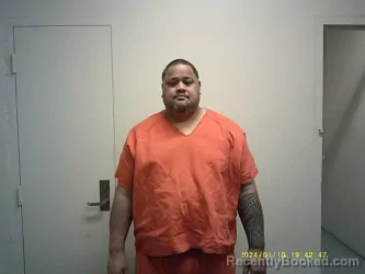 Mugshot of ISILELI LOLO TUIAKI