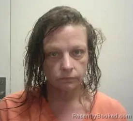 Mugshot of MELONY LYNN WELLS booked in Daviess County, Missouri on July 2, 2026