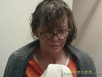 Mugshot of THERESA M HARSH