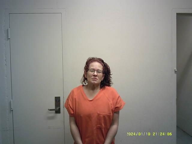 Mugshot of DANA JEANETTE HARTMAN