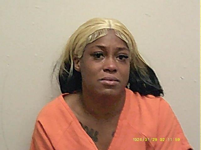 Mugshot of KRYSTLE RENEE CLERKLEY