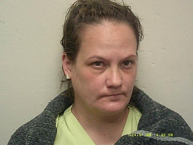 Mugshot of MELISSA R HAMPTON