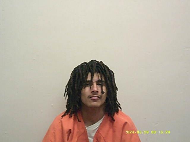 Mugshot of MARICE L WEBER booked in De Kalb County, Missouri on March 28, 2026