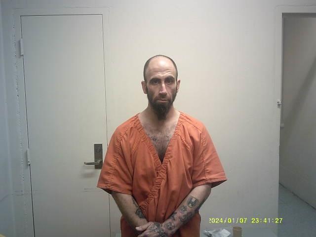 Mugshot of MORGAN ANDREW WILLIS