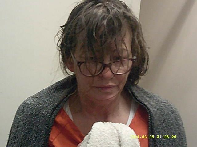 Mugshot of THERESA M HARSH