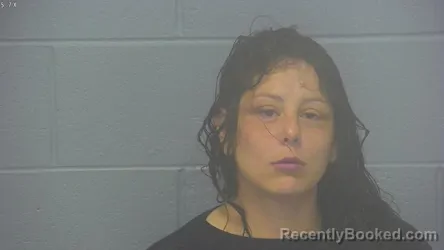 Mugshot of ALICIA GERRIE RINGI ANSON booked in Greene County, Missouri on April 27, 2026