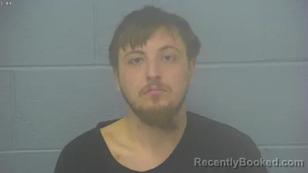Mugshot of ANDREW WARREN BRABO