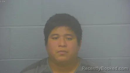 Mugshot of ANGEL GABRIEL CHALIB PACAY booked in Greene County, Missouri on March 7, 2026