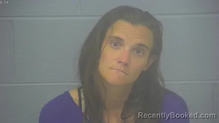 Mugshot of ALEXANDRIA HARDING FRITCH booked in Greene County, Missouri on April 3, 2026