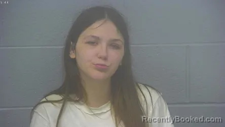 Mugshot of ALEXIA LYNN HAVENS booked in Greene County, Missouri on June 9, 2026