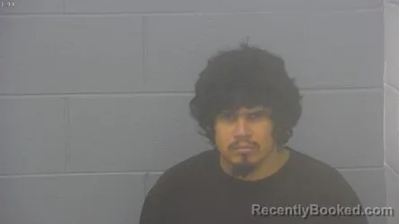 Mugshot of ANGEL ALBERTO HERNANDEZ ARANDA booked in Greene County, Missouri on June 16, 2026