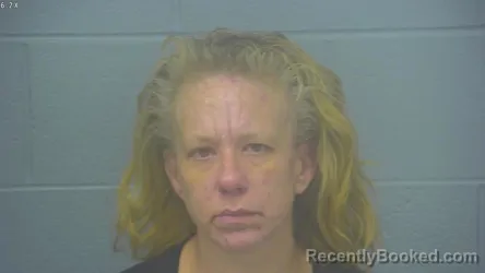 Mugshot of APRIL DAWN HAINES booked in Greene County, Missouri on March 30, 2026