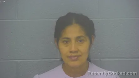Mugshot of Andrea Lopez-Pu booked in Greene County, Missouri on August 8, 2026