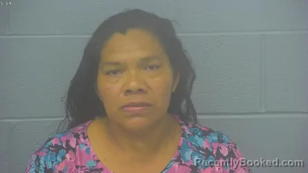Mugshot of Aura Leticia Mendez Romero De Giron booked in Greene County, Missouri on August 13, 2026