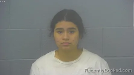 Mugshot of ABIGAIL MERARI ORTIZ-PINEDA booked in Greene County, Missouri on May 5, 2026