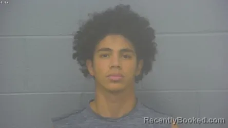 Mugshot of ALEIDER SIMON OROPEZA HERNANDEZ booked in Greene County, Missouri on July 2, 2026
