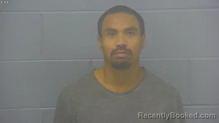 Mugshot of Aenoy Panyanouvong booked in Greene County, Missouri on October 13, 2026