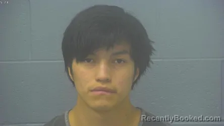 Mugshot of ANGEL MIGUEL RAMIREZ