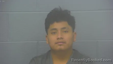 Mugshot of Anelson Reyes Garcia booked in Greene County, Missouri on October 6, 2026