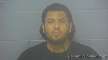 Mugshot of Alexander Julio Rangel booked in Greene County, Missouri on August 13, 2026