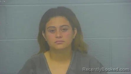 Mugshot of Anvi Sarahi Guzman-Sagastume booked in Greene County, Missouri on September 6, 2026