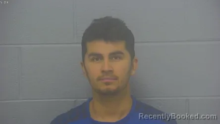 Mugshot of ALLAN GABRIEL YANEZ-RAMIREZ