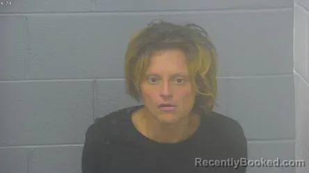 Mugshot of BROOKLYN MARIE ANDERSON booked in Greene County, Missouri on June 26, 2026