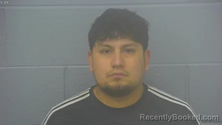 Mugshot of BRANDY CHANAS-VASQUEZ booked in Greene County, Missouri on March 8, 2026