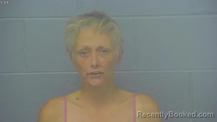 Mugshot of BRITTANY NICOLE FRAVEL booked in Greene County, Missouri on May 3, 2026