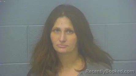 Mugshot of BRIEANNE NICOLE HOLLIS booked in Greene County, Missouri on March 26, 2026