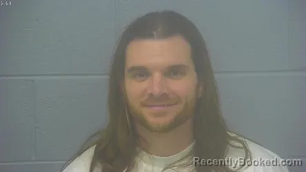 Mugshot of BRANDON LEE LEMONS