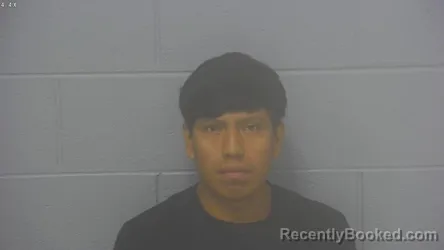 Mugshot of Benedicto Arturo Paau Quej booked in Greene County, Missouri on August 17, 2026