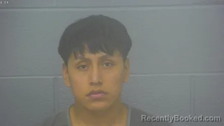 Mugshot of BRAYAN DAVID SALAZAR VARGAS booked in Greene County, Missouri on May 2, 2026