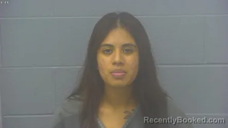 Mugshot of Cecilia Citlalli Cruz Avendano booked in Greene County, Missouri on August 4, 2026
