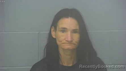 Mugshot of CAROLE SUZZANN CUMMINGS booked in Greene County, Missouri on March 14, 2026