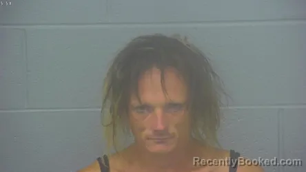 Mugshot of Christopher Thomas Ellison booked in Greene County, Missouri on August 12, 2026