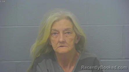 Mugshot of CHERYL ELAINE FLY booked in Greene County, Missouri on March 29, 2026