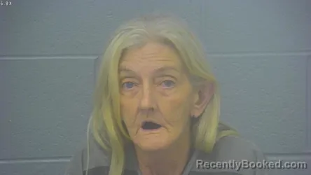 Mugshot of Cheryl Elaine Fly booked in Greene County, Missouri on August 26, 2026