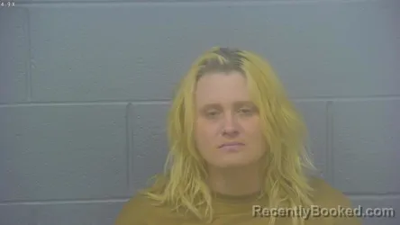 Mugshot of CHEYENNE RENEE HICKS