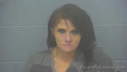 Mugshot of CHRISTINA LEANNA HOLMES