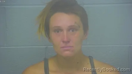 Mugshot of Cheyenne Elizabeth Smith booked in Greene County, Missouri on August 16, 2026