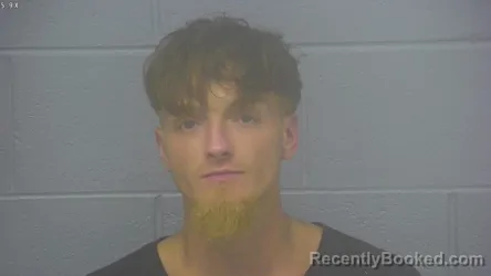 Mugshot of Cody Lee Wallace booked in Greene County, Missouri on August 5, 2026
