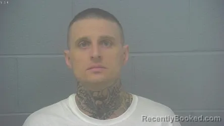Mugshot of DAVID LEE BASHAM