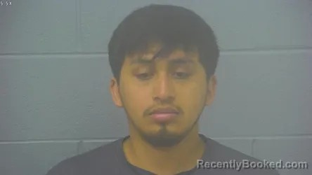 Mugshot of DAVID GUSTAVO DUBON CASTILLO booked in Greene County, Missouri on April 1, 2026