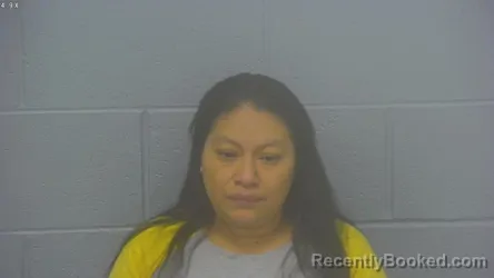 Mugshot of DAMARIZ GRICELDA GONZALEZ-PEREZ booked in Greene County, Missouri on March 13, 2026