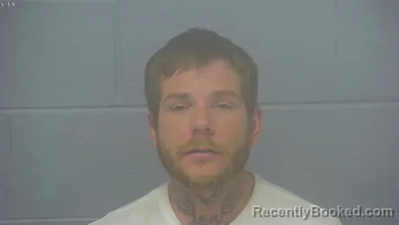Mugshot of DILLON SHANE HILTON