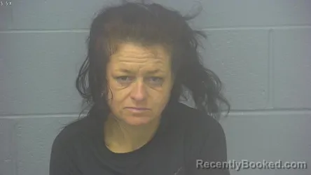 Mugshot of DYANA JANE HAYNES