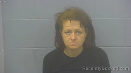 Mugshot of DYANA JANE HAYNES booked in Greene County, Missouri on March 10, 2026