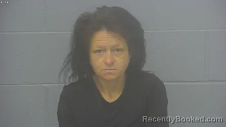 Mugshot of DYANA JANE HAYNES booked in Greene County, Missouri on July 15, 2026